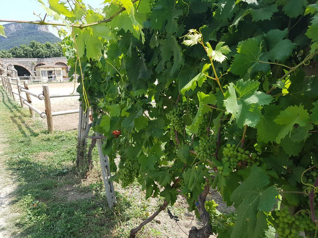 Il Villaggio Di Giuele Finale Ligure Exterior foto